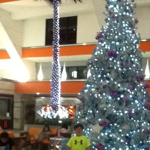 Meet your Posher, Filbert - Picture 1 of 1